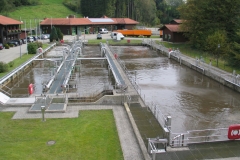 Belebung